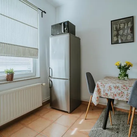 Apartman III U Centru Kutine Kutina Exterior photo